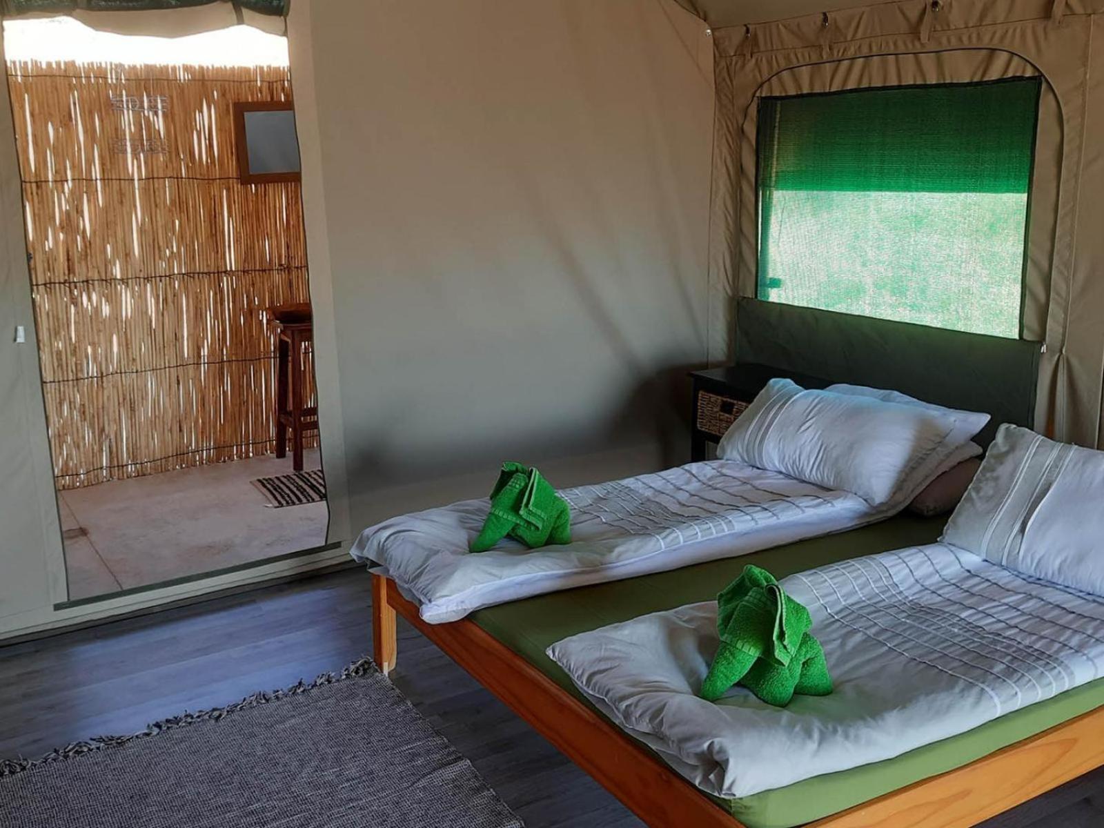 Camp Gecko - Private Nature Reserve; Tented Camp And Campsite Solitaire Dış mekan fotoğraf