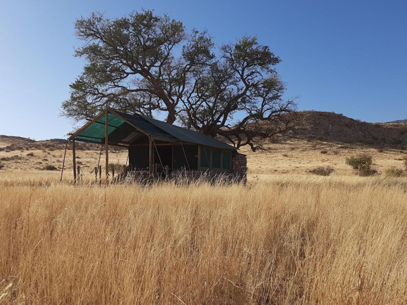 Camp Gecko - Private Nature Reserve; Tented Camp And Campsite Solitaire Dış mekan fotoğraf
